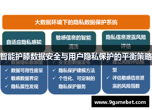 智能护膝数据安全与用户隐私保护的平衡策略